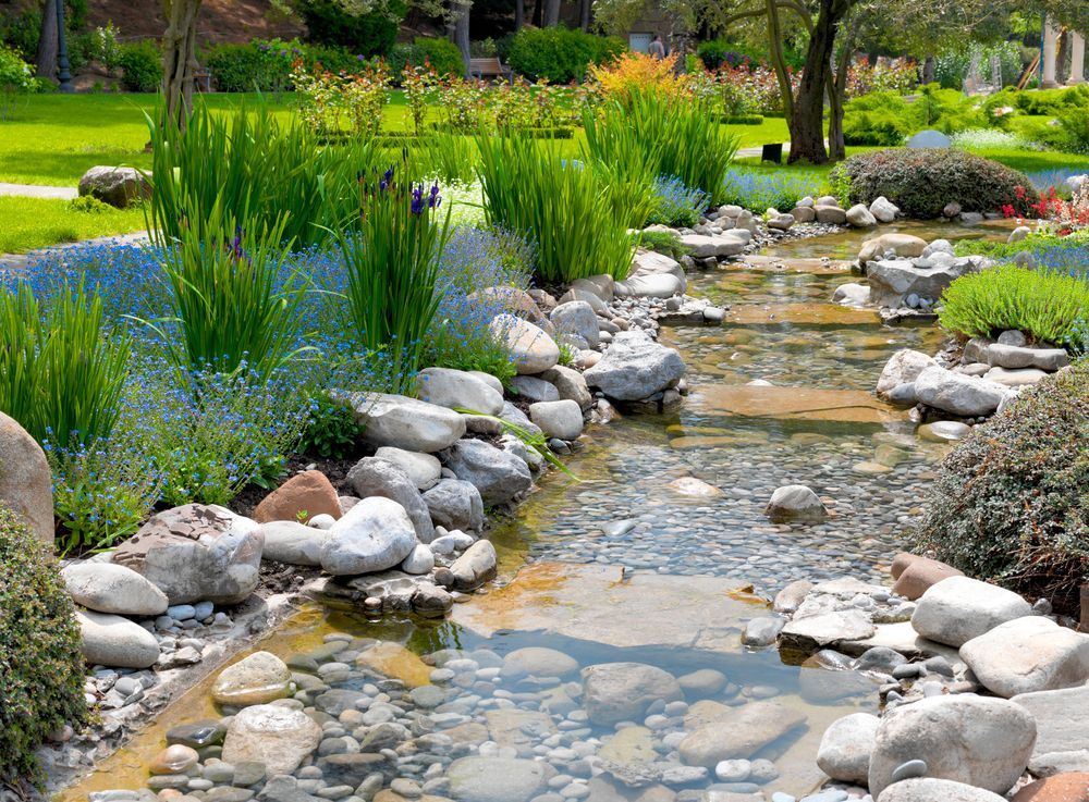 Natural garden stream with rocks and greenery