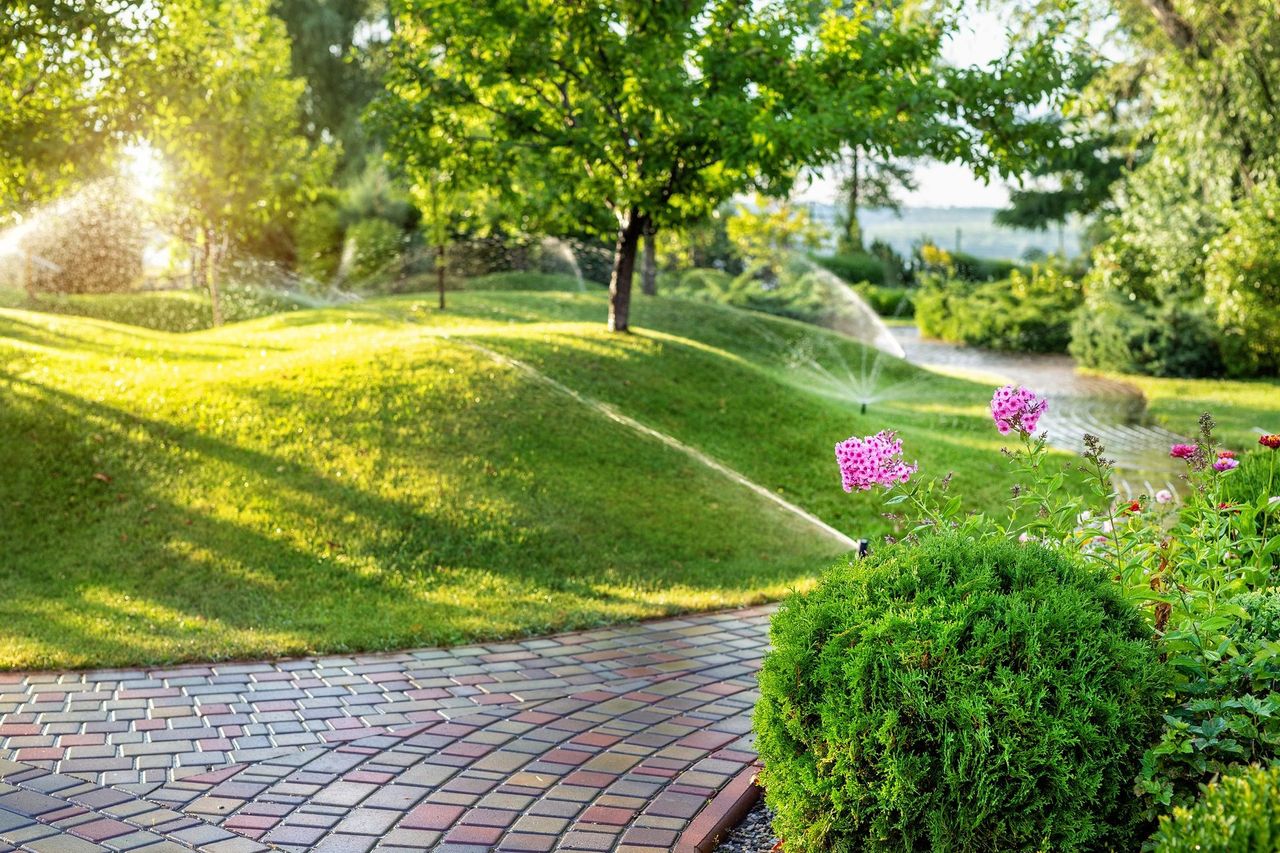 Sprinkler watering a green lawn