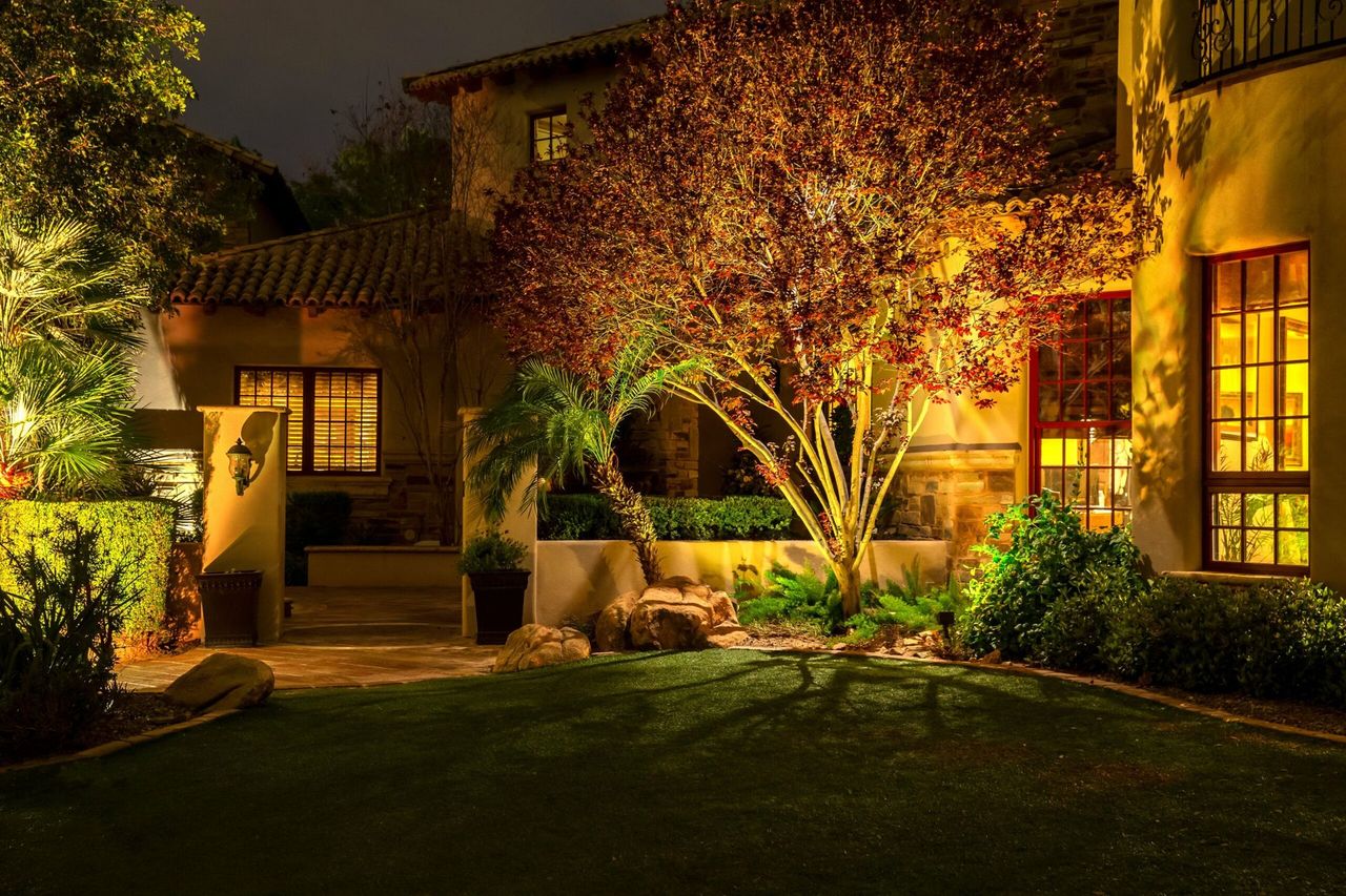Home and garden tree softly uplit in the evening