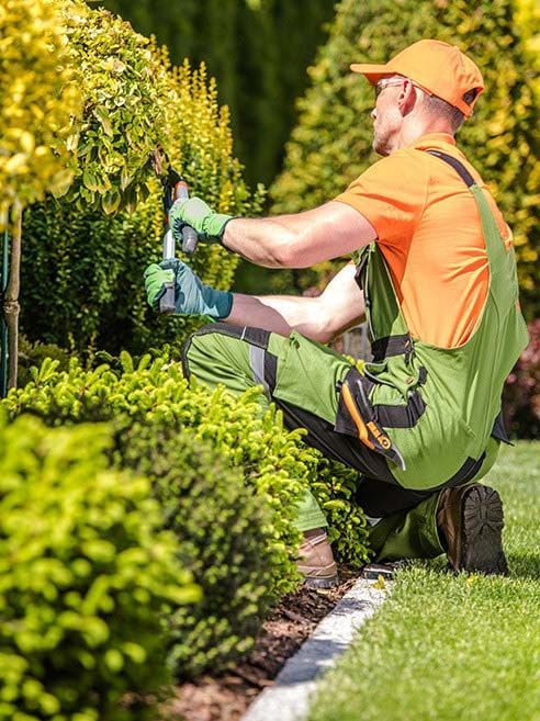 Gorman & Sons landscaper trimming a hedge