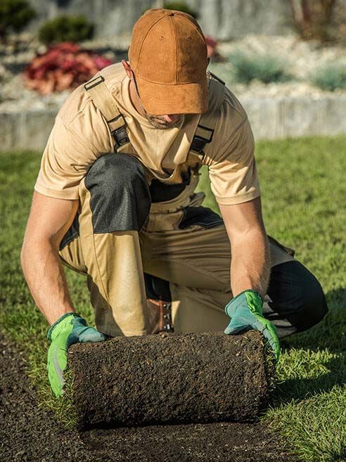 Landscaper laying fresh sod